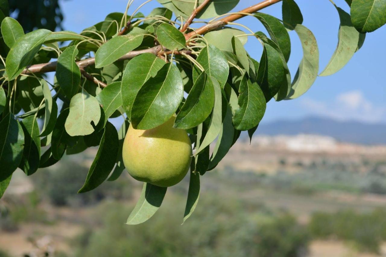 Stephanie Villa Σίμου Εξωτερικό φωτογραφία